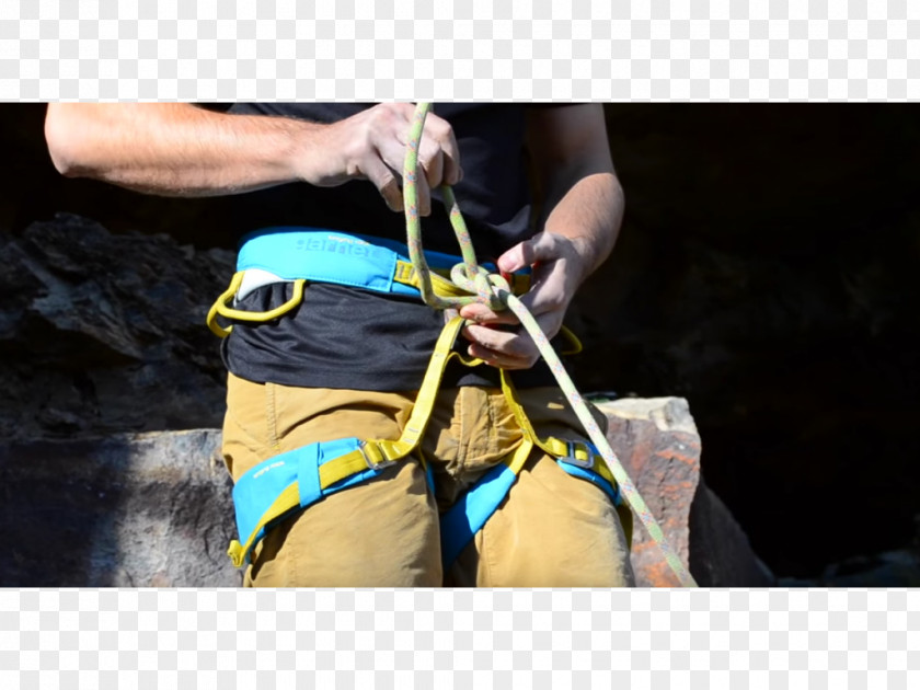 Abseiling Climbing Harnesses Belay & Rappel Devices Belaying Safety Harness PNG