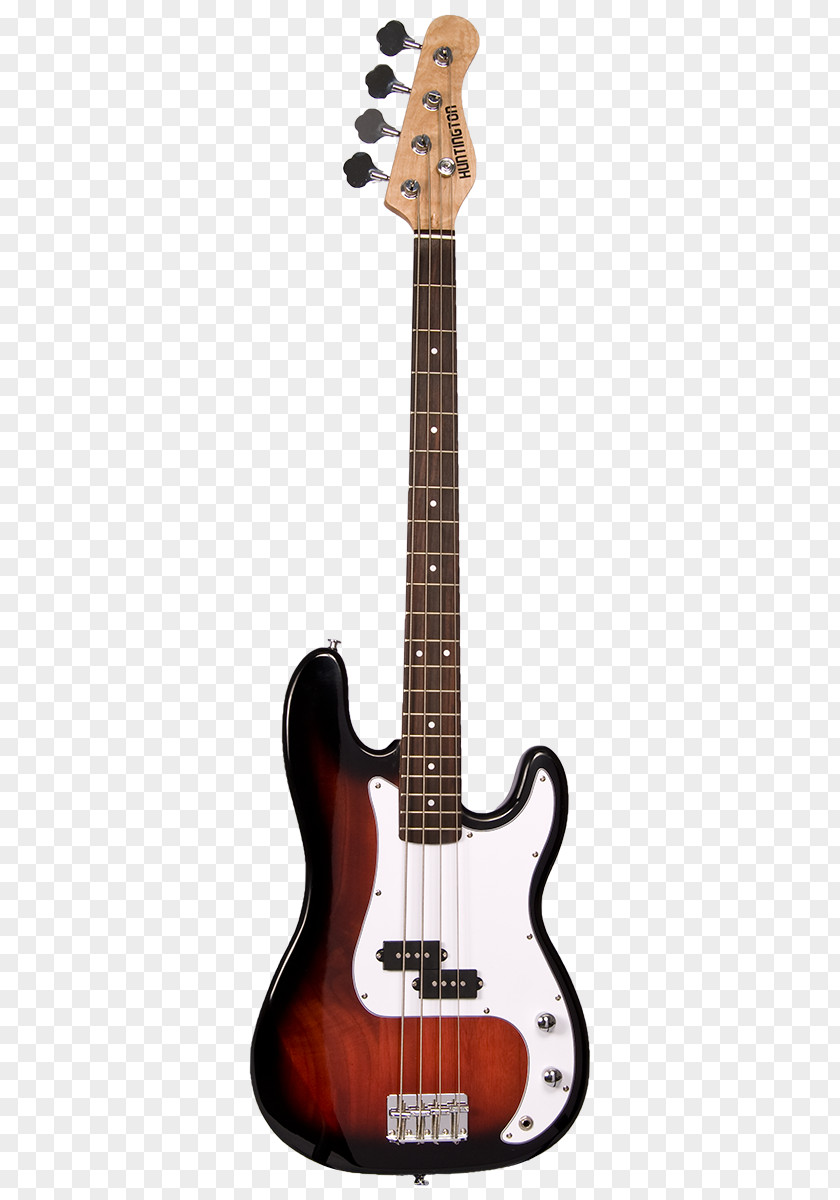 Bass Guitar Fender Precision Double Electric PNG