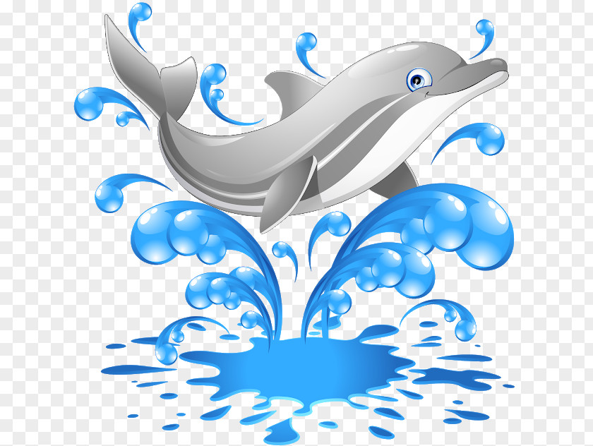Dolphin Clip Art Illustration Image PNG