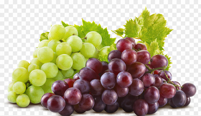 Grape Common Vine Cranberry Juice Food PNG