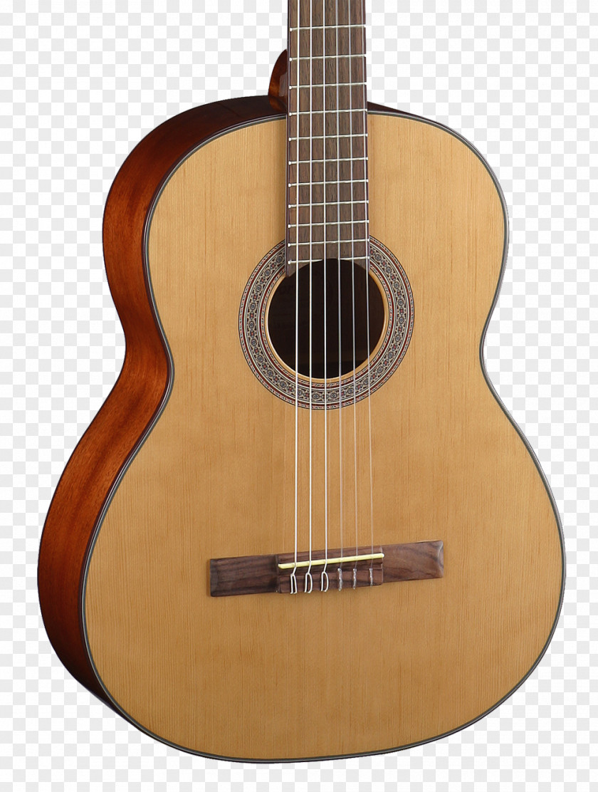 Guitar Classical Cort Guitars Acoustic String PNG
