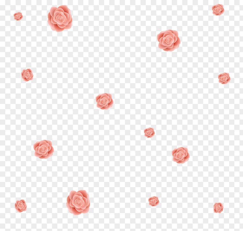 Light Pink Dream Roses Floating Material Flower Beach Rose Petal PNG