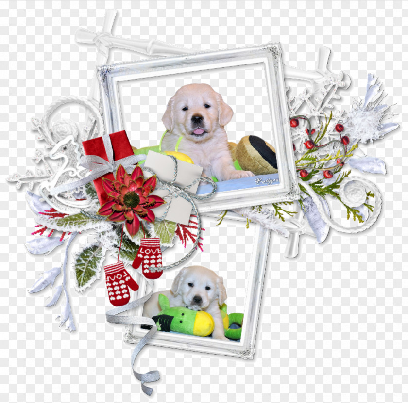 Puppy Centerblog Christmas Message PNG