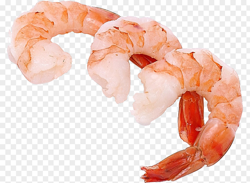 Shrimps Coconut Shrimp Prawn Cocktail Clip Art PNG