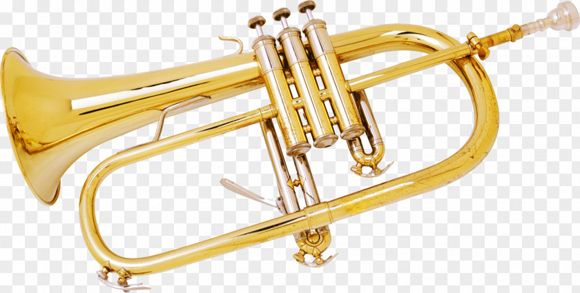 Trumpet Musical Instrument Saxophone Brass PNG