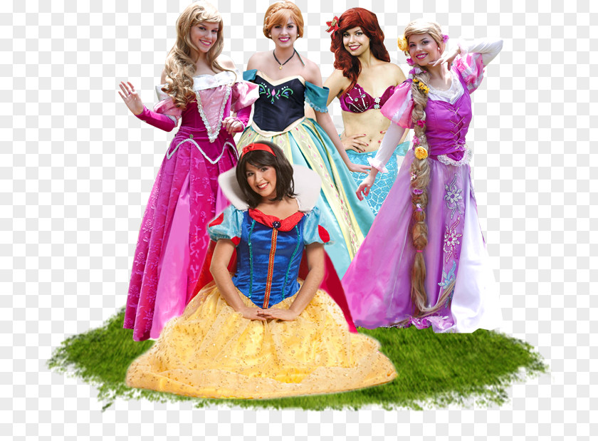 Barbie Princesas The Walt Disney Company Princess PNG