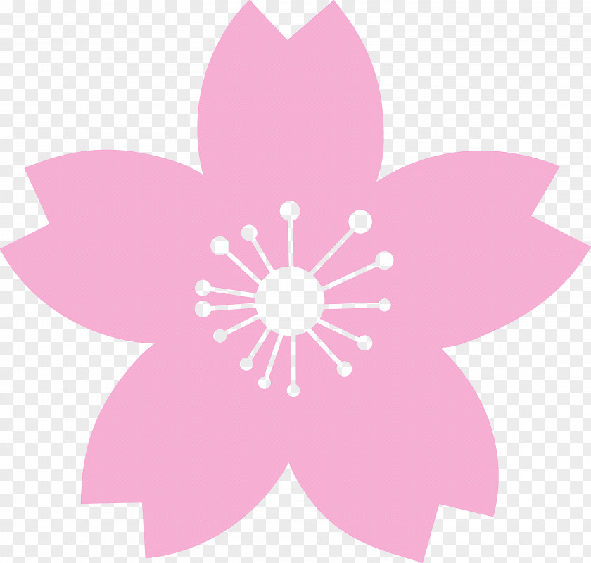 Cherry Flower Floral PNG