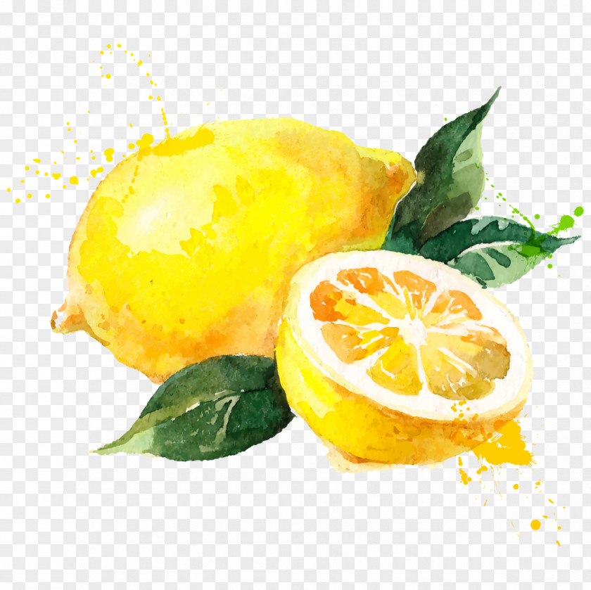 Iphone 6 Watercolor Painting Lemon Royalty-free Drawing PNG