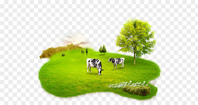 Milk Elements Cattle Powdered A2 Cow & Gate PNG