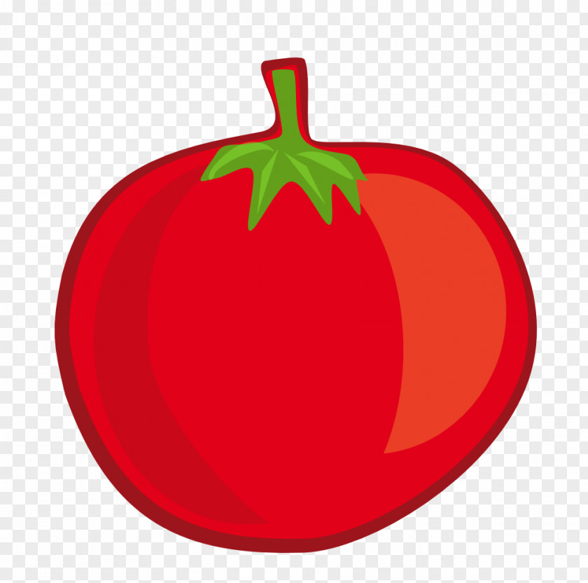 Tomato Clip Art PNG