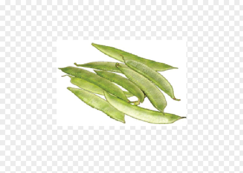 Fresh Vegetables Vegetable Green Bean Legume Lima Snap Pea PNG