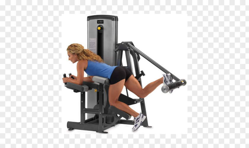 Gluteus Exercise Machine Equipment Fitness Centre Maximus Muscle PNG