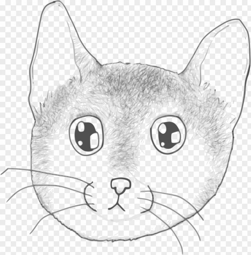 Kitten Line Art Cat Drawing PNG