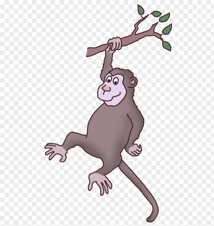 Old World Monkey Tail Cartoon Branch PNG