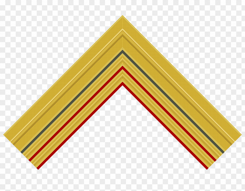 Triangle Yellow Colonel PNG