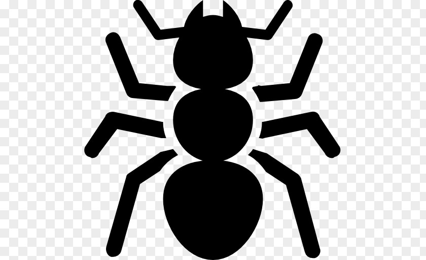 Ants Vector Ant PNG