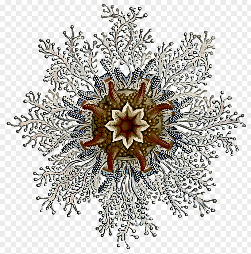 Christmas Ornament PNG