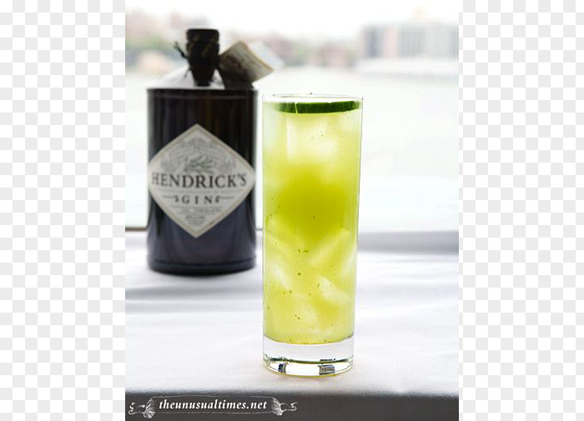 Cucumber Lemonade Harvey Wallbanger Cocktail Hendrick's Gin Non-alcoholic Drink PNG