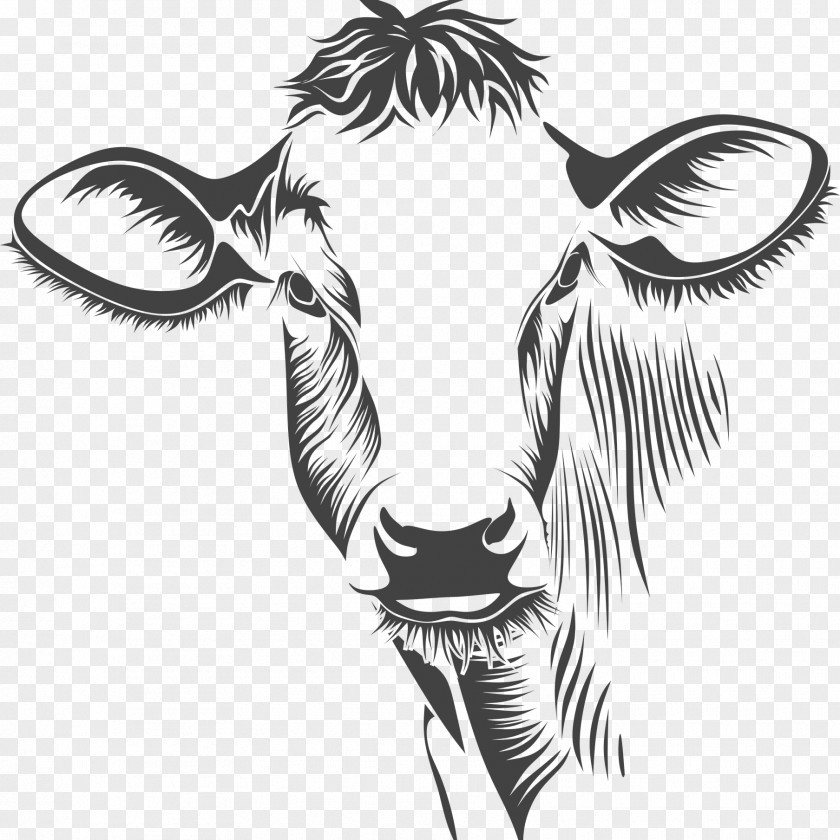 Silhouette Taurine Cattle Clip Art Line Drawing PNG