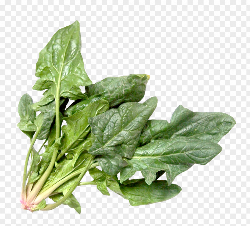Vegetable Food Smoothie Chard Salad Sorrel PNG
