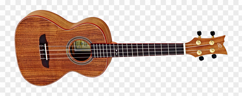 Amancio Ortega Ibanez AS73 Musical Instruments Artcore Series Guitar PNG