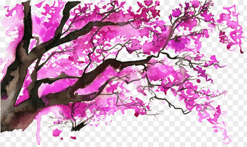 Cherry Blossom Watercolor Painting Tree PNG