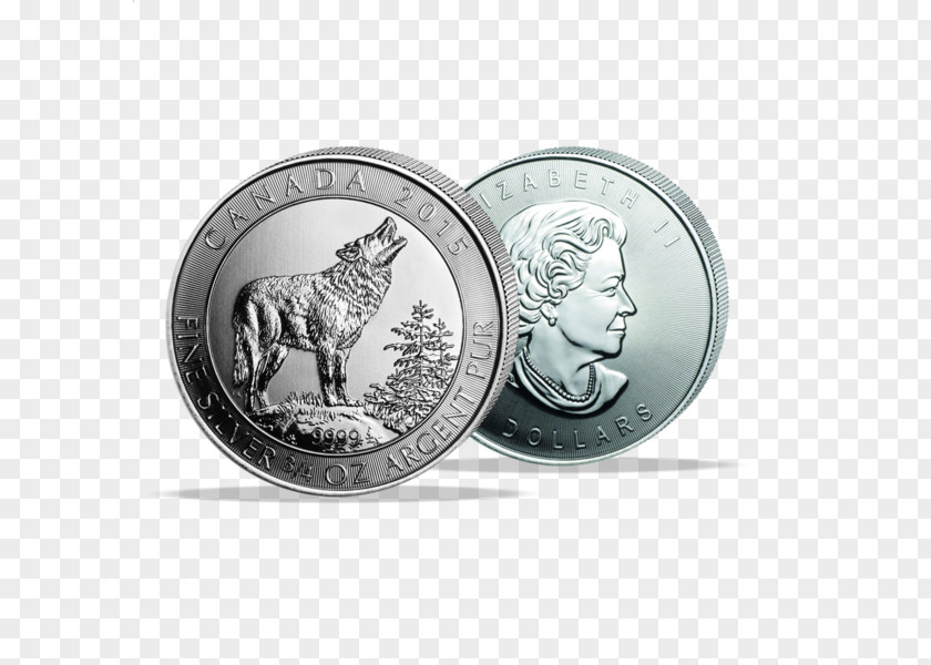 Coin Silver Nickel PNG