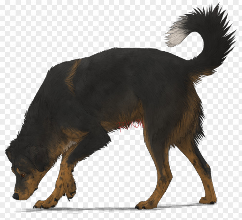 Giant Basset Hound Hyena Pet Canidae Dog Breed PNG