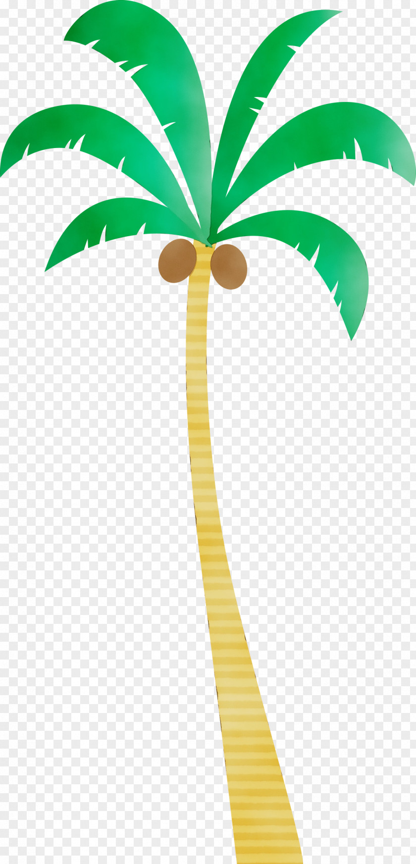 Palm Trees PNG