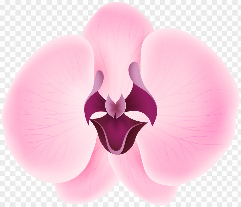 Pink Orchid Transparent Clip Art Petal International Checker Hall Of Fame Flower Credit Card Sepal PNG