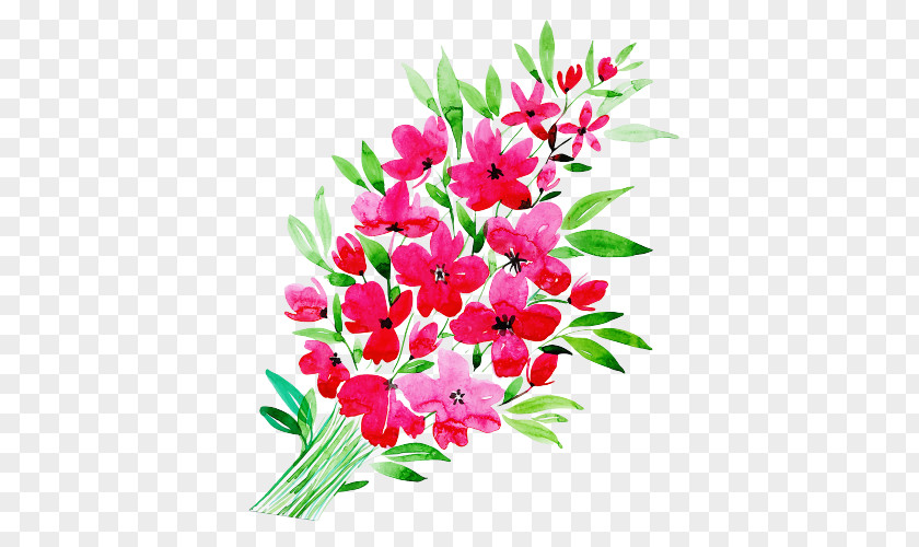 Branch Gladiolus Flower Flowering Plant Pink Cut Flowers PNG