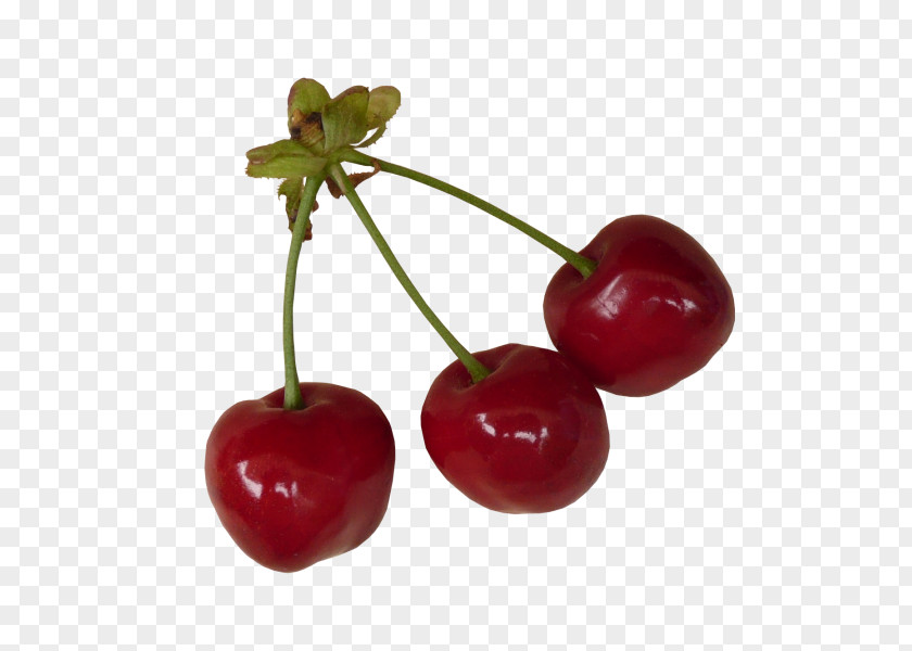 Cherry Auglis Berry PNG