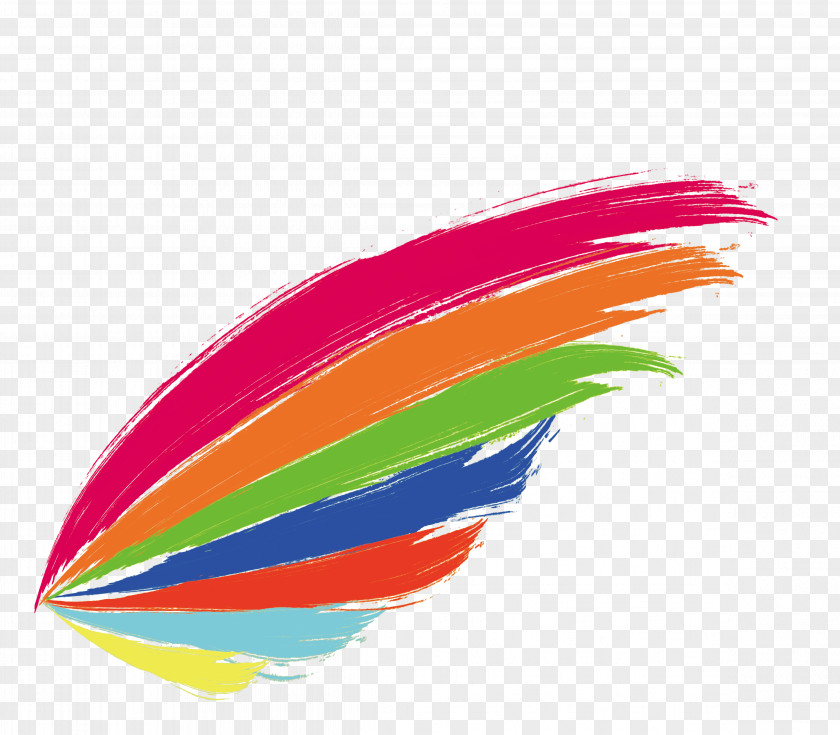 Color Brush Design Feathers PNG