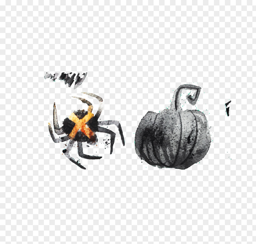 Creative Halloween Spider Jack-o'-lantern Calavera Euclidean Vector PNG
