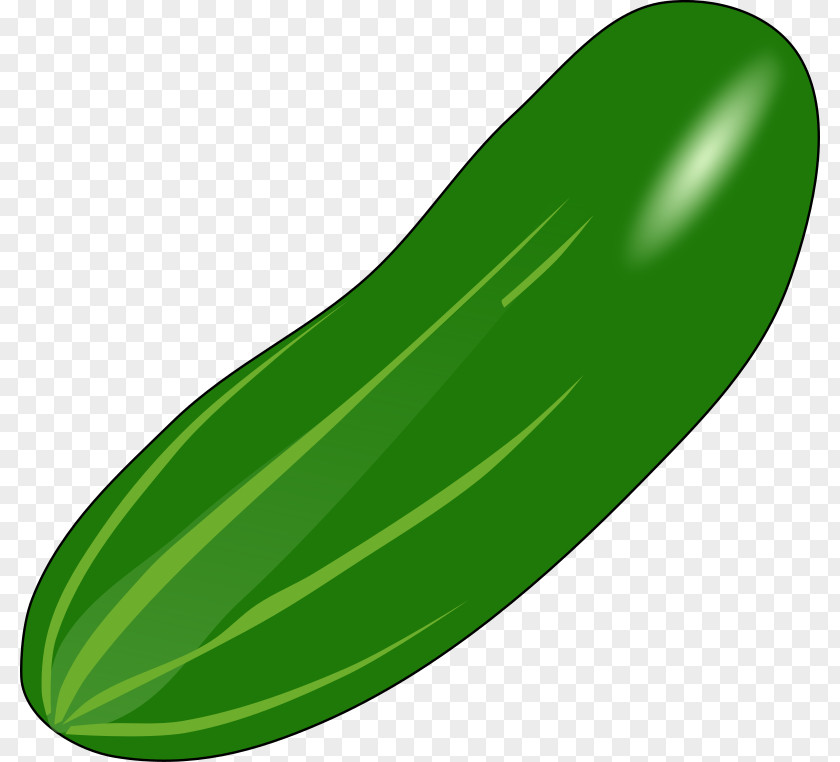 Cucumber Vegetable Zucchini Clip Art PNG