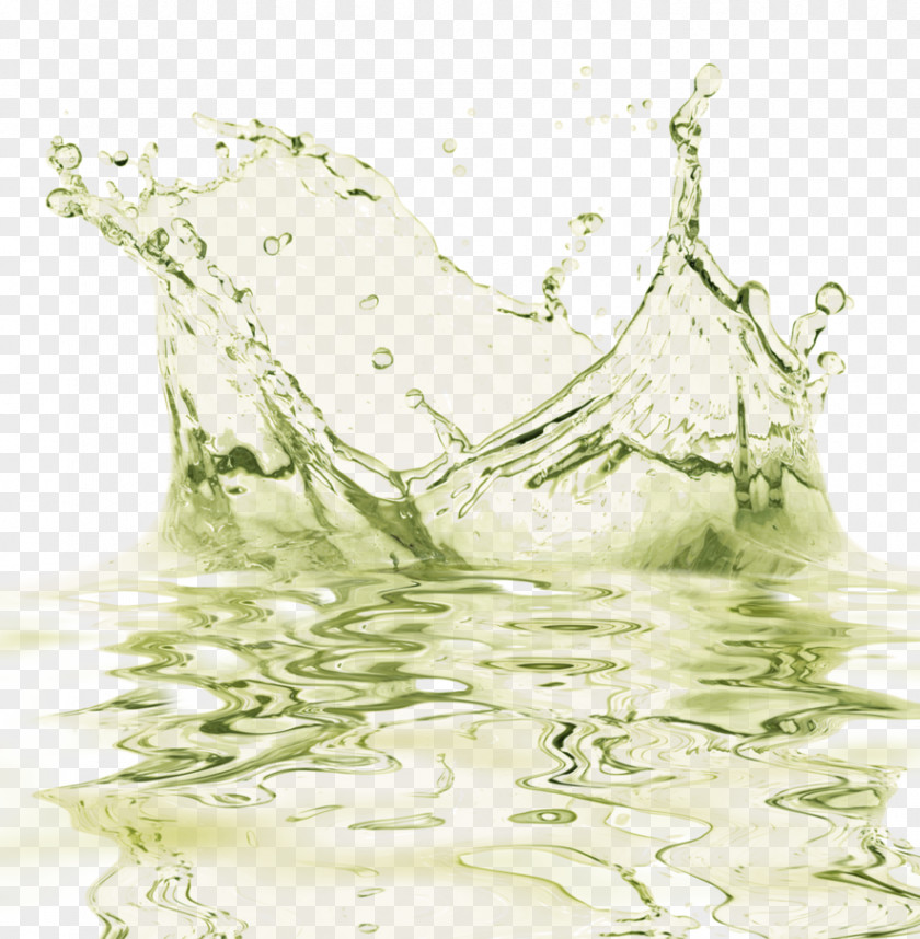 Green Fresh Water Effect Elements Clip Art PNG