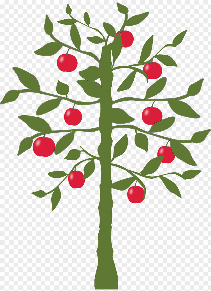 Lemon Fruit Tree Apple PNG
