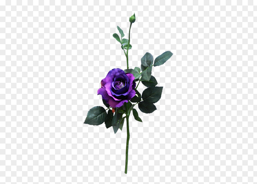 Rose Cut Flowers Purple Flower Bouquet Floral Design PNG