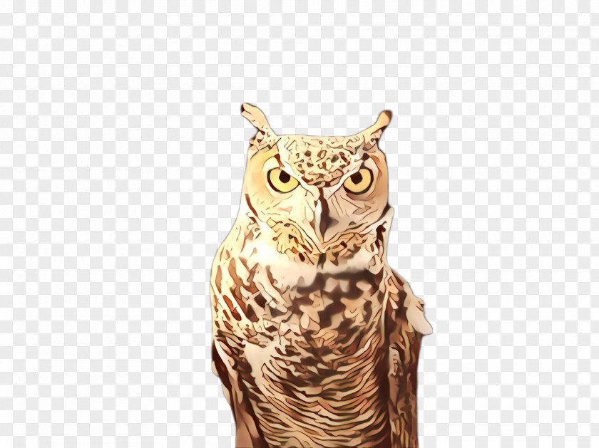 Snowy Owl Screech Bird Of Prey Great Horned Beak PNG