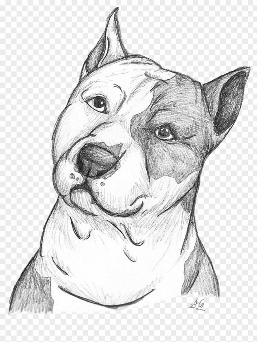 Pit Bull Dog Breed American Terrier Staffordshire Sketch PNG