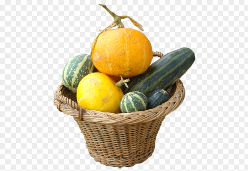 Pumpkin Gourd Cucurbita Maxima Vegetable Melon PNG