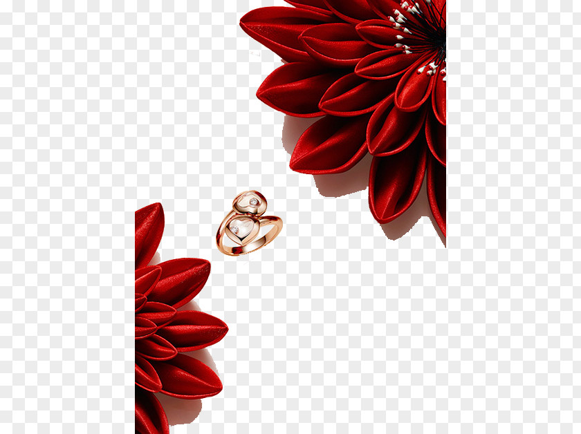 Red Decorative Flowers And Rings Chanel Jewellery Chopard Ring Luxury Goods PNG