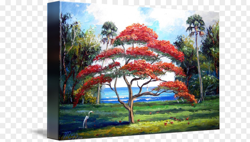 Royal Poinciana Painting Tree Acrylic Paint Art Imagekind PNG