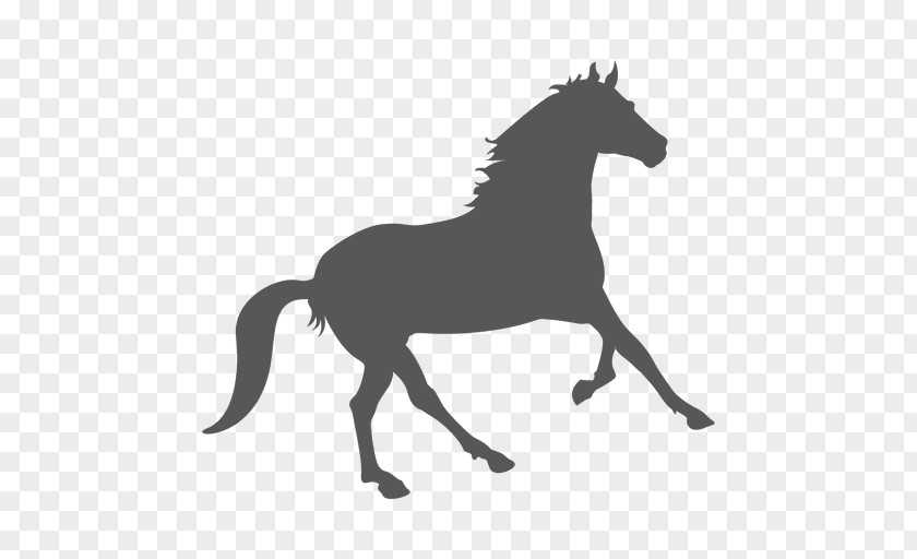 Fish Elements Mustang Stallion Colt Foal American Paint Horse PNG