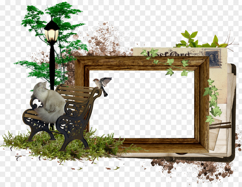 Green Frame Picture Frames Photomontage Photography PNG