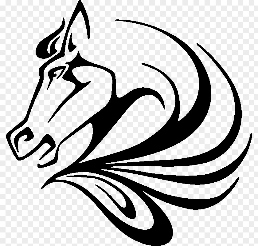 Horse Stallion Drawing PNG