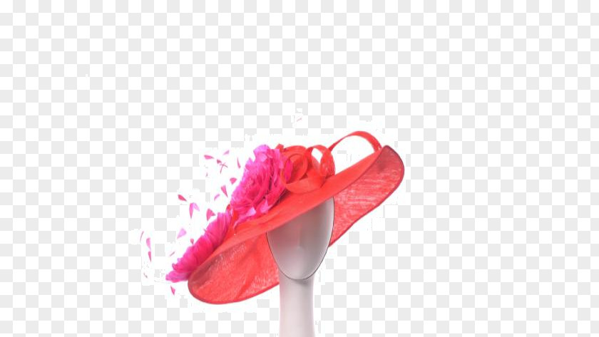 Kentucky Derby-hat Sun Hat Shoe PNG