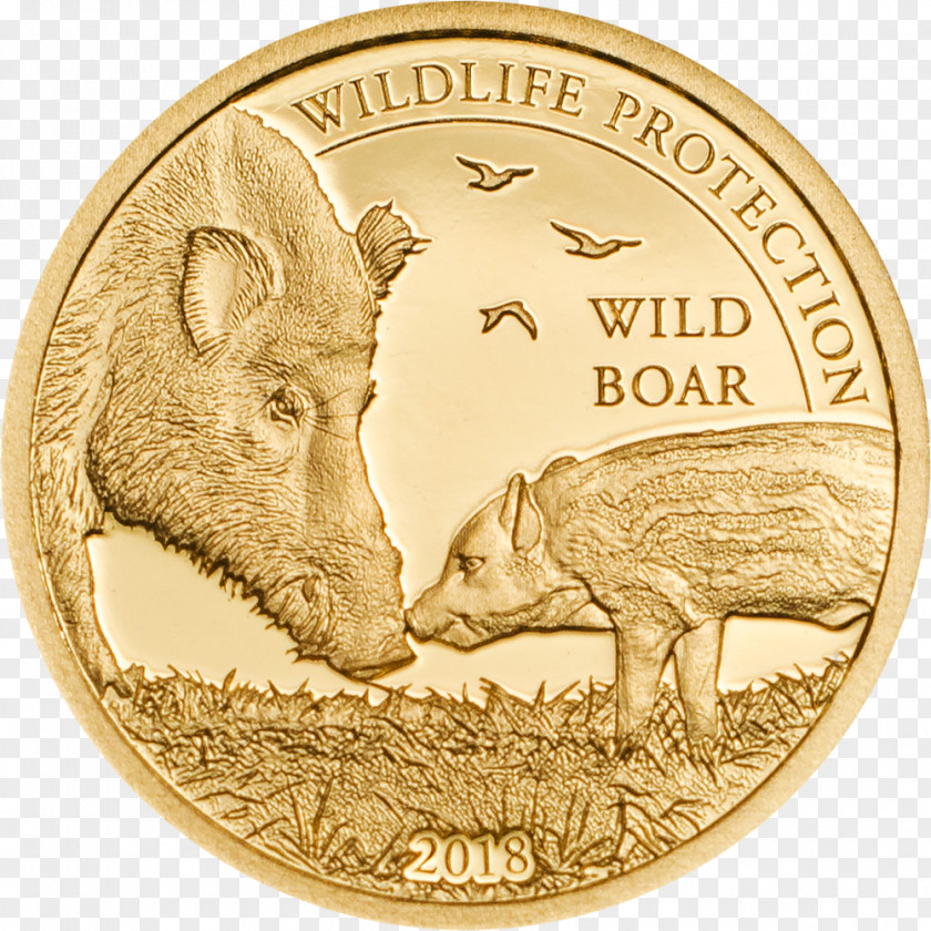 Silver Coin Mongolia Wild Boar PNG