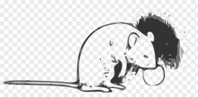 Cat Rat Clip Art Mouse Image PNG