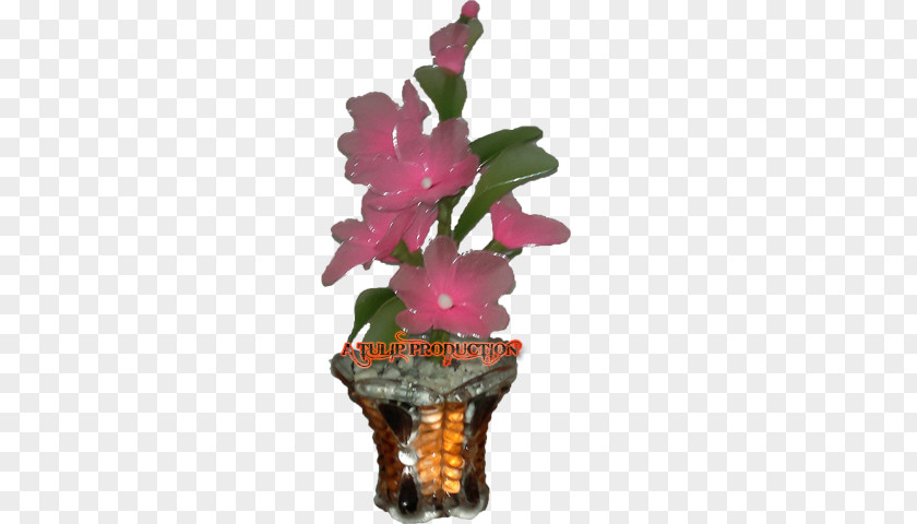 Flower Flowerpot Flowering Plant Houseplant Magenta PNG